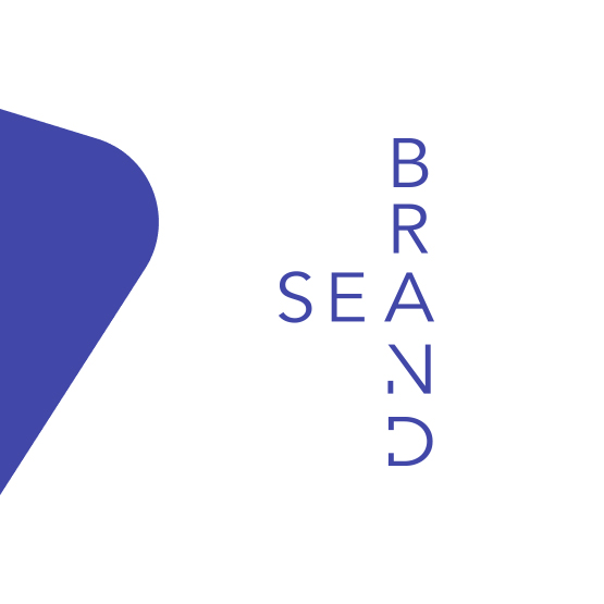 60efe52d13f75e31efcb6f72_brandsea-partner