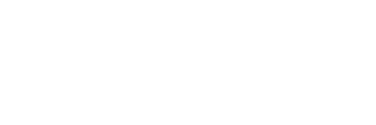 Syner_wit